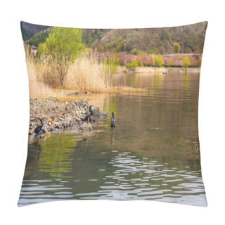 Personality  Group Of Black Japanese Cormorant Stands Side Of Shore Near Kawaguchiko Lake In Japan Pillow Covers