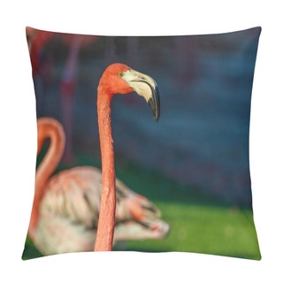 Personality  Flamboyance Of Flamingos Pillow Covers