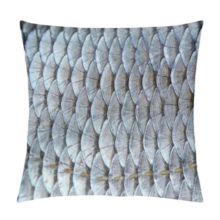 Personality  Real Roach Fish Scales Background Pillow Covers