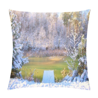 Personality  Winter Forest Sunny Bright Landscape Pillow Covers