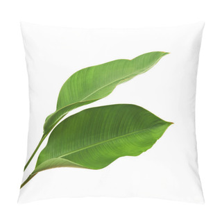 Personality  Strelitzia Reginae, Heliconia, Tropical Leaf, Bird Of Paradise Foliage Isolated On White Background, With Clipping Path                            Pillow Covers