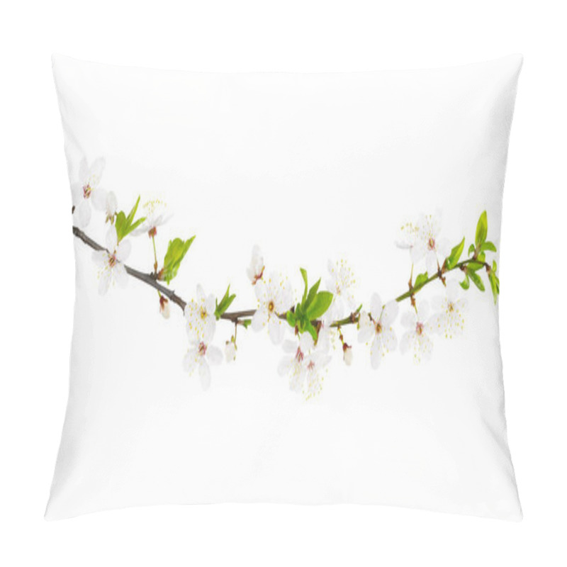 Personality  Branch Of White Spring Blossom. Isolated On White. Path Included. Pillow Covers