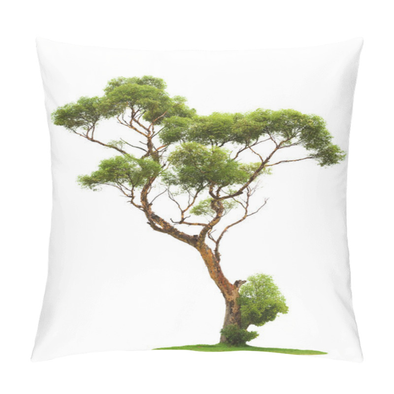 Personality  Tree on white background pillow covers