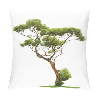 Personality  Tree On White Background Pillow Covers
