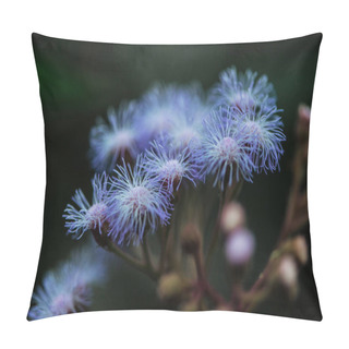 Personality  Close Up View Of Blue Wildflowers On Blurred Background Pillow Covers