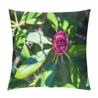 Personality  Laurel Pillow Covers