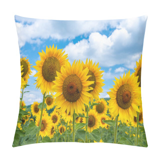 Personality  Field Of Blooming Sunflowers On A Background Sky Pillow Covers