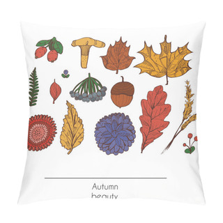 Personality  Hand Drawn Autumn Beautiful Set Of Leaves, Flowers, Branches, Mushroom And Berries, Isolated On White Background. Colorful Illustration Showing Autumn Beauty Of Nature With Graphic Decorated Objects Pillow Covers