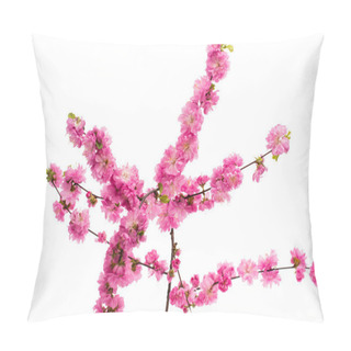 Personality  Spring Cherry Tree Blossom Pillow Covers