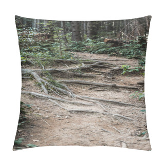 Personality  Green And Fresh Leaves Near Roots In Forest  Pillow Covers