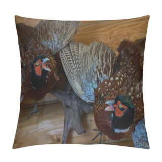 Personality  Two Pheasant Effigies On The Wall Pillow Covers