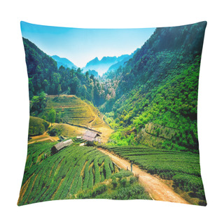 Personality  Tea Plantations On Angkhang Mountain, Chiang Mai, Thailand Pillow Covers