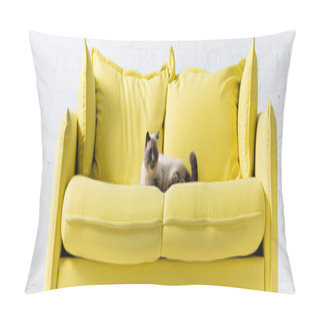 Personality  Siamese Cat Lying On Yellow Sofa With Pillows At Home, Banner Pillow Covers