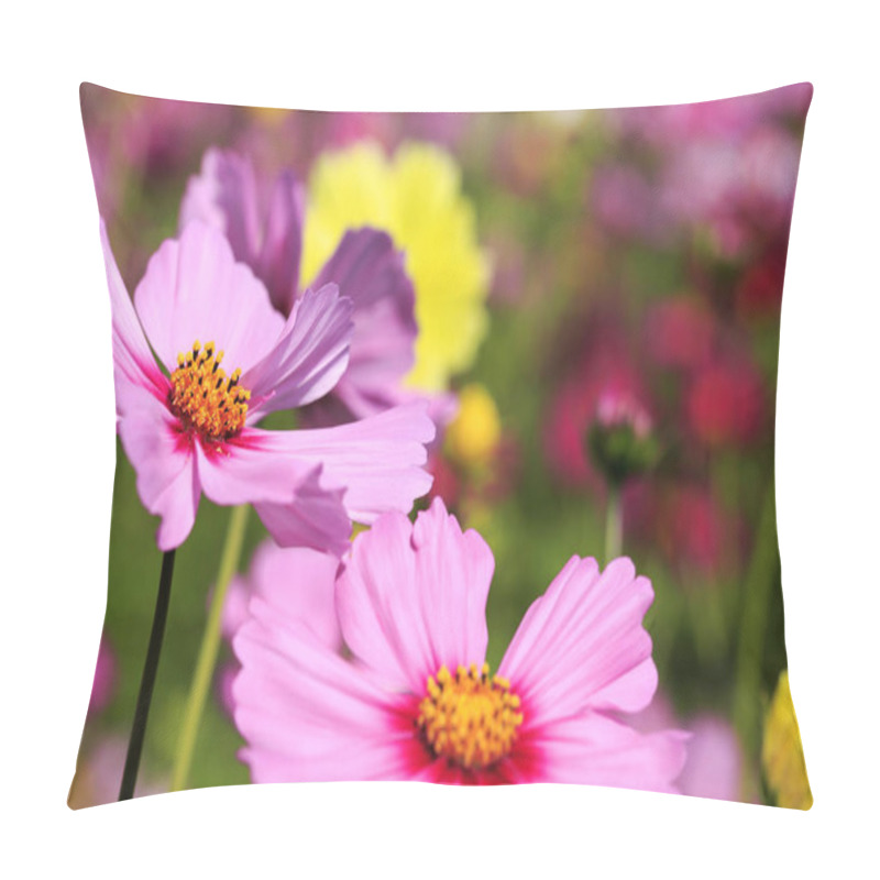 Personality  Cosmos Flower Field In  Japan Pillow Covers
