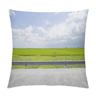 Personality  Rice Field. Pillow Covers