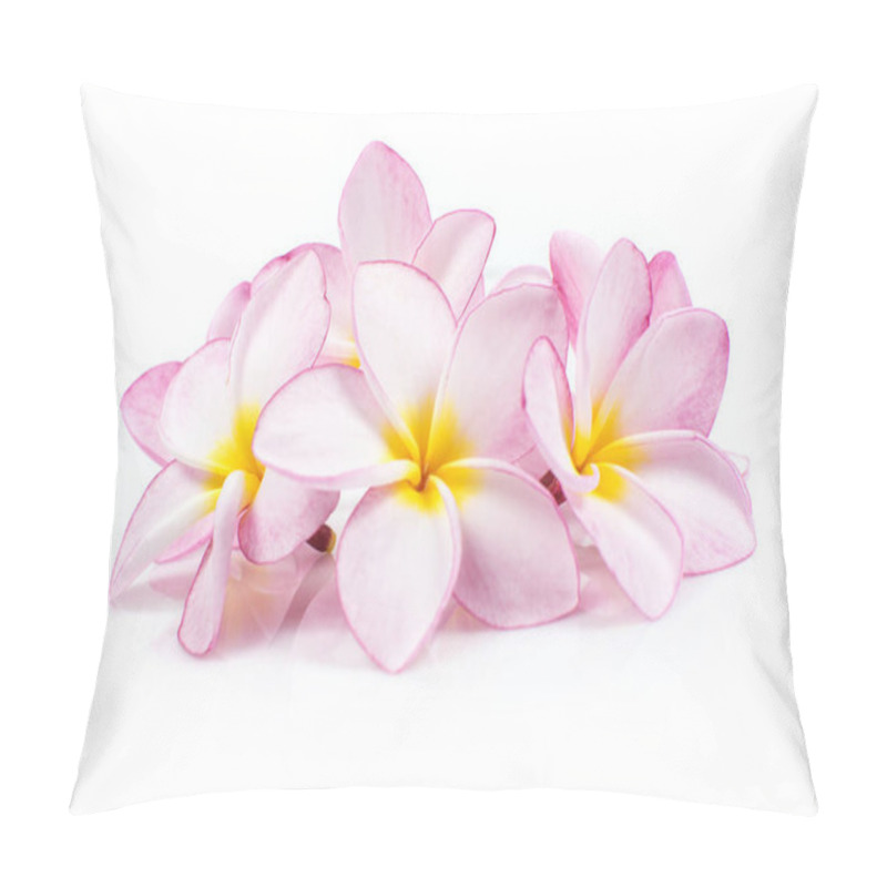 Personality  Nature pattern of blossoming color exotic rose pink Frangipani flower, Close up of pink Plumeria or Frangipani (Hawaii, Hawaiian Lei Flower, Bali Indonesia, Shri-Lanka Ceylon, Spa) with clipping path pillow covers