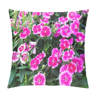 Personality  Beautifull Summer Flowers Close Up Pillow Covers