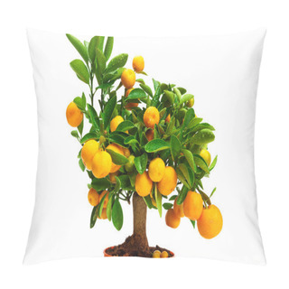 Personality  Orange Tangerines On Tree Pillow Covers
