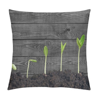 Personality  Growth Of New Life Pillow Covers