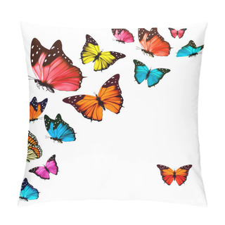 Personality  Background With Colorful Butterflies. Vector. Pillow Covers
