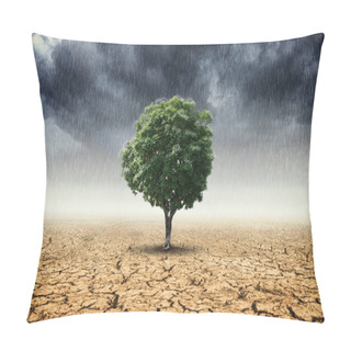 Personality  Landscape Of Trees With The Changing Environment, Concept Of Climate Change. Pillow Covers