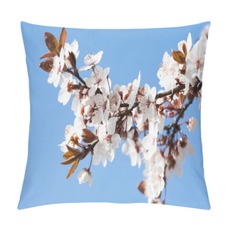 Personality  Early Spring Flowering Trees Pillow Covers