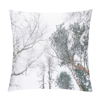 Personality  Bottom View Of Trees Covered With Snow In Forest Pillow Covers