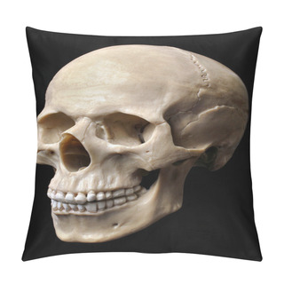Personality  Skull Model Pillow Covers