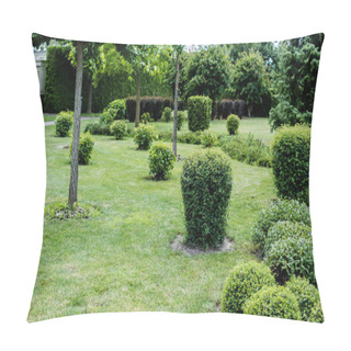 Personality  Selective Focus Of Green Leaves On Bushes On Grass Near Trees In Park  Pillow Covers