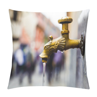 Personality  Golden Hydrant Pipe Water Tap Pillow Covers