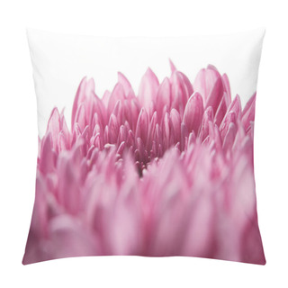 Personality  Close Up View Of Purple Chrysanthemum Isolated On White Pillow Covers