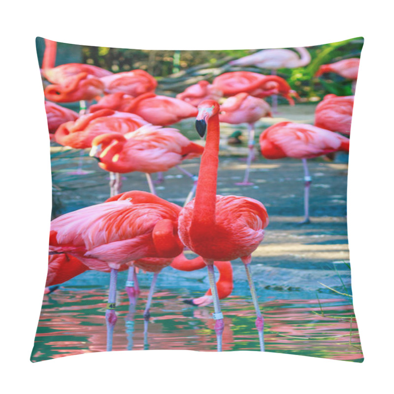 Personality  Flamboyance of Flamingos pillow covers