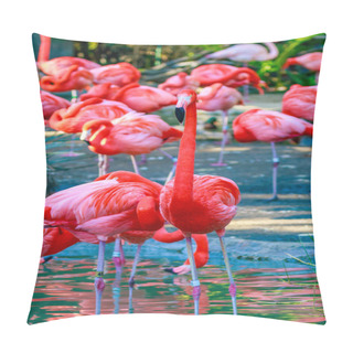 Personality  Flamboyance Of Flamingos Pillow Covers