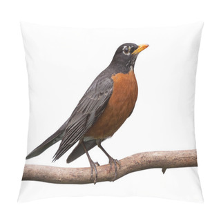 Personality  Robin On A Branch Pillow Covers