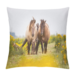 Personality  Beautiful Wild Horses Pillow Covers