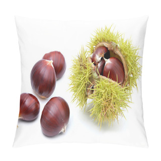 Personality  Chestnuts Pillow Covers