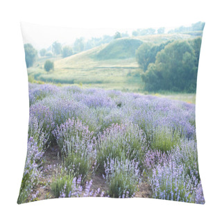 Personality  Outdoors Pillow Covers