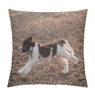 Personality  A Selective Focus Of A Labradoodle Running Outdoors Pillow Covers