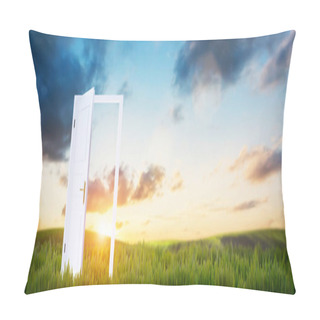 Personality  Open Door On Green Grass, Concept Of Hope Pillow Covers