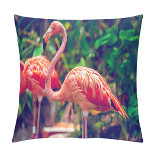 Personality  Pink Flamingo Pillow Covers
