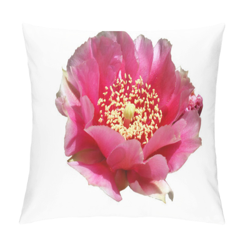 Personality  Pink Prickly Pear pillow covers