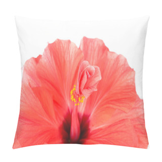 Personality  Red Hibiscus Flower, Close-up, Isolated On White Pillow Covers