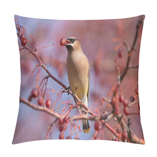 Personality  Cedar Waxwing Eating Berries From A Tree Pillow Covers
