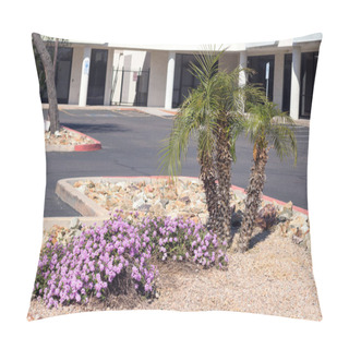 Personality  Xeriscaped Parking Lot Entrance With Flowering Trailng Lantana Montevidensis And Pigmy Palms Used In Desert Style Landscaping Combined With Gravel And Rocks Pillow Covers