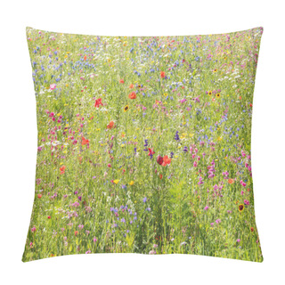 Personality  Brightly Colored Flower Meadow With Ornamental Flowers, Poppy, Campion And Hawkweed Pillow Covers