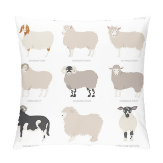 Personality  Sheep Breeds Collection 5. Farm Animals Set. Flat Design. Vector Illustration Pillow Covers