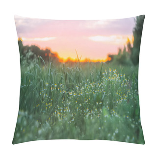 Personality  Rural Landscape. Field And Grass In Sunset Light. Summertime In Village. Pillow Covers