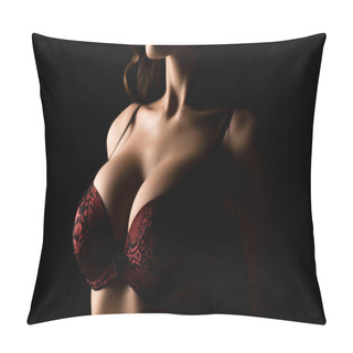 Personality  Cropped View Of Girl With Big Breasts In Lace Bra Posing Isolated On Black Pillow Covers