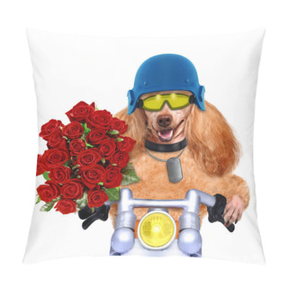 Personality  Motorbike Dog Pillow Covers