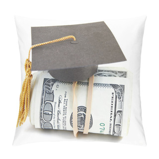 Personality  Salary Grad Pillow Covers
